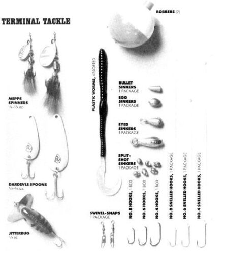 A Beginner's Guide: How to Start Fishing